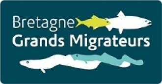 Bretagne Grands Migrateurs